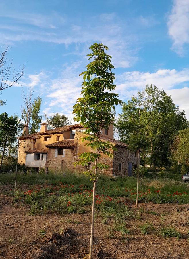 Molino Del Buho Guest House Torre la Cárcel Екстериор снимка